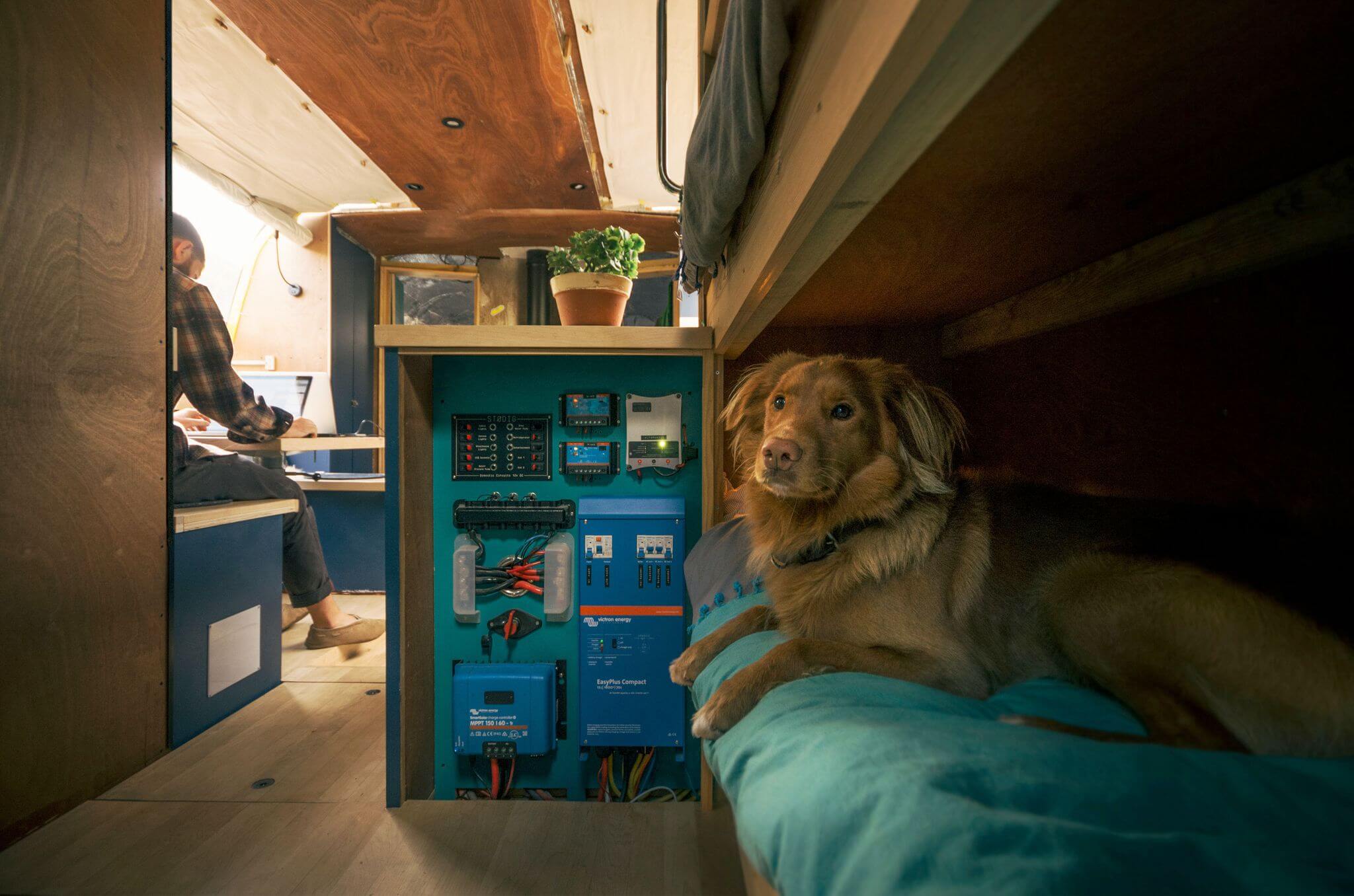 Hund sitzt auf einer Couch im Wohnmobil neben einem Wechselrichter.